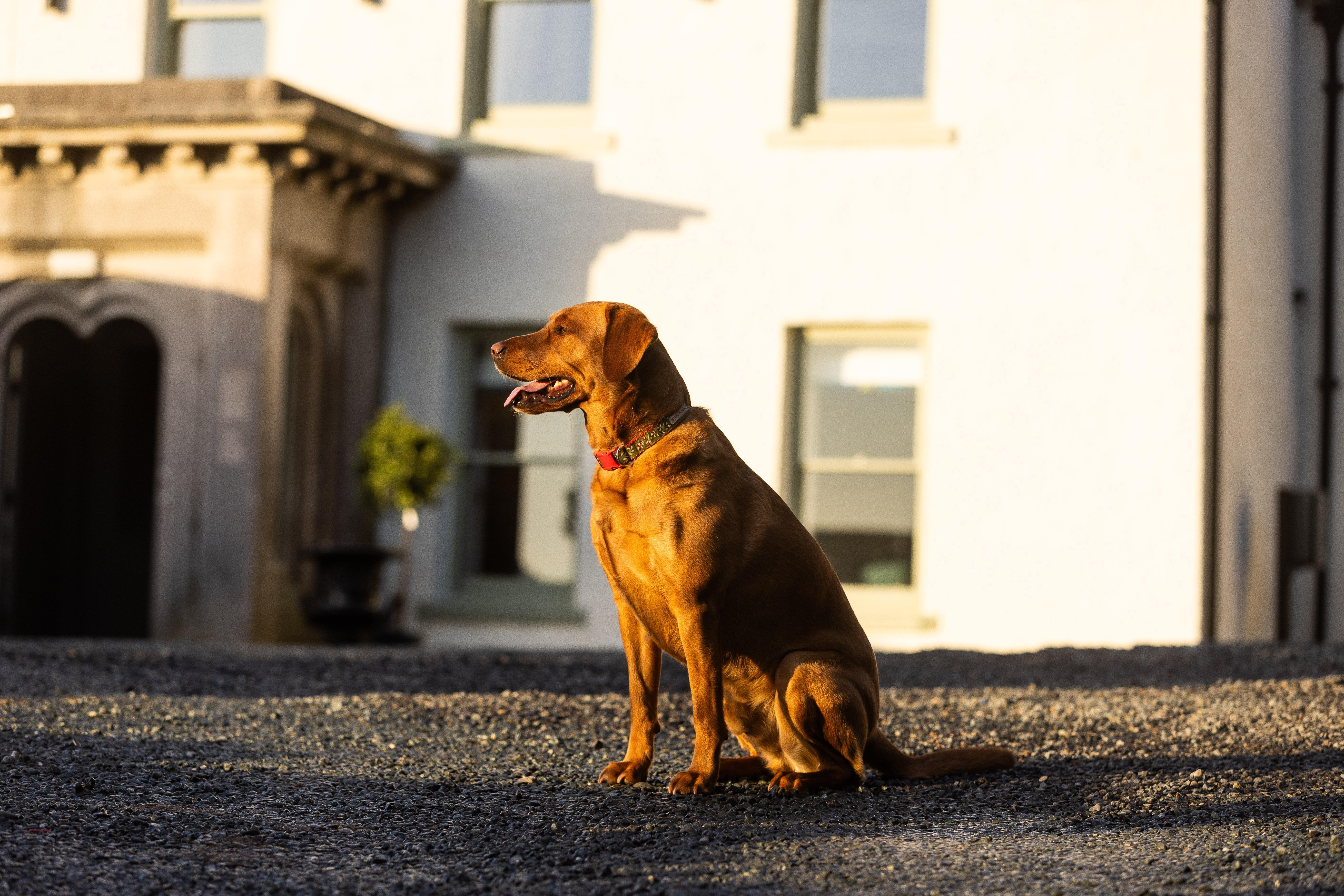 Bed and Breakfast Aynsome Manor Cartmel Zewnętrze zdjęcie